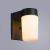 Уличный настенный светильник Arte Lamp Spasso A8058AL-1GY