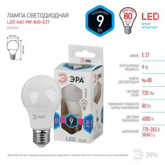 Лампа светодиодная ЭРА E27 9W 4000K матовая LED A60-9W-840-E27