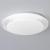 Потолочный светильник Reluce 02099-9.2-60W*2