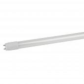 Лампа светодиодная ЭРА G13 10W 6500K матовая LED T8-10W-865-G13-600mm