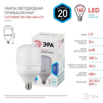 Лампа светодиодная ЭРА E27 20W 4000K матовая LED POWER T80-20W-4000-E27