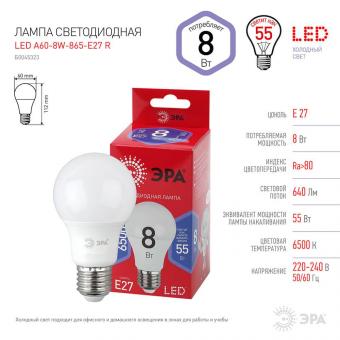 Лампа светодиодная ЭРА E27 8W 6500K матовая A60-8W-865-E27 R