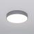 Потолочный светодиодный светильник Eurosvet Entire 90319/1 серый