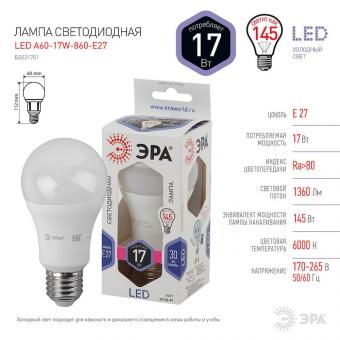 Лампа светодиодная ЭРА E27 17W 6000K матовая LED A60-17W-860-E27