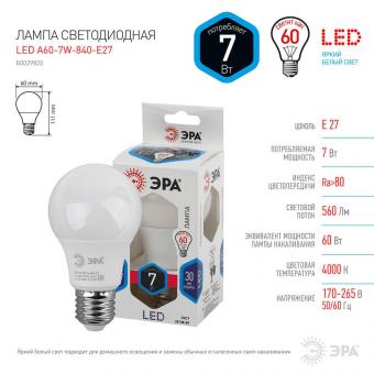 Лампа светодиодная ЭРА E27 7W 4000K матовая LED A60-7W-840-E27