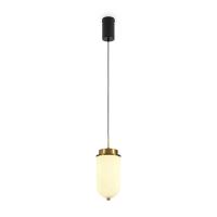 Подвесной светильник Freya Modern Iride FR5627PL-L8BBS