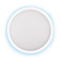 Настенно-потолочный светодиодный светильник Duwi Round с датчиком движ. 12 Вт 4000K 25121 7