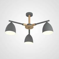 Потолочная люстра Imperium Loft Noa 101838-26