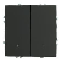 Выключатель 2-клавишный c индикатором (механизм), STEKKER, 250В, 10А, серия Эмили, RSW10-5102-05, черный уголь, soft touch 49838