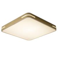 Потолочный светодиодный светильник Zortes Gabby ZRS.1215.04 Потолочный светодиодный светильник Zortes Gabby ZRS.1215.04