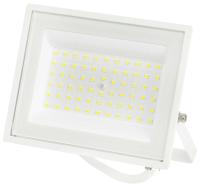 Прожектор светодиодный уличный ЭРА LPR-023-W-65K-050 Б0054642