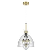 Подвесная люстра Vele Luce Caramella VL5904P25