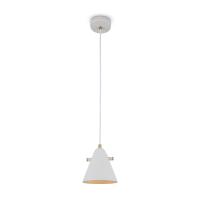 Подвесной светильник Freya Уютный / Cozy FR5211PL-01W