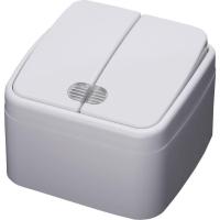 Выключатель двухклавишный Stekker Basic с подсветкой PSW103220 39030