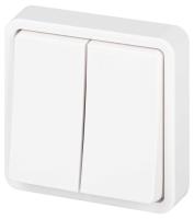 Выключатель ЭРА Эксперт 11-1524-01 двойной IP55 10АХ-250В СУ белый Б0063271