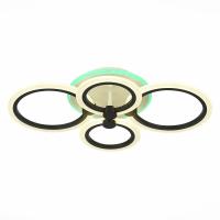 Потолочная светодиодная люстра Evoled Cerina SLE500542-04RGB