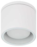 Уличный настенно-потолочный светильник ЭРА WL40 WH Б0054415