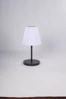 Настольная лампа Alfa Light F3824-08 BK E27*1