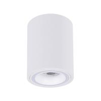 Точечный накладной светильник Arte Lamp IMAI A2267PL-1WH Точечный накладной светильник Arte Lamp IMAI A2267PL-1WH