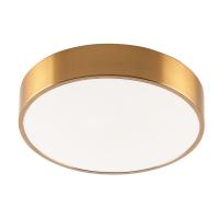 Потолочный светодиодный светильник Zortes Tortty ZRS.02566.36