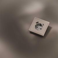 Накладка для розетки с заземлением и защитными шторками, с USB A+C, S70 Metal (платина) Voltum VLSM001010