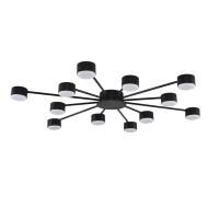 Люстра Lumion COMFI 8344/12C