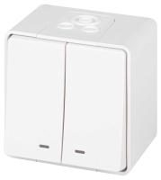 Выключатель ЭРА Эксперт 11-1505-01 двойной с подсветкой IP55 10АХ-250В ОУ белый Б0063282