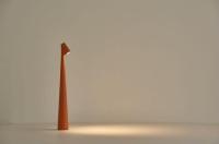 Настольная лампа Alfa Light F3924-50 orange 3W φ5*H40