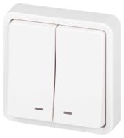 Выключатель ЭРА Эксперт 11-1525-01 двойной с подсветкой IP55 10АХ-250В СУ белый Б0063304