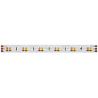 Светодиодная лента Maytoni 12W/m 120LED/m 2835SMD от теплого до холодного 5M 201123
