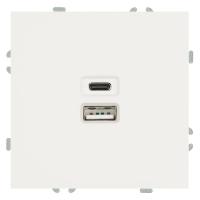 Розетка двухместная USB + Type C Stekker Эмили белый фарфор RST10-5115-01 49879