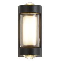 Уличный настенный светодиодный светильник Escada 30006W/01LED