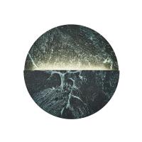 Настенный светодиодный светильник Favourite Eclipsis 4600-1W