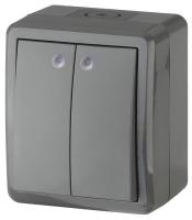Выключатель двухклавишный с подсветкой ЭРА Эксперт 10AX 250V IP54 11-1405-03 Б0020678 Выключатель двухклавишный с подсветкой ЭРА Эксперт 10AX 250V IP54 11-1405-03 Б0020678