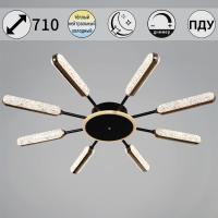 Потолочная светодиодная люстра Reluce 08290-0.3-08 BK+GD