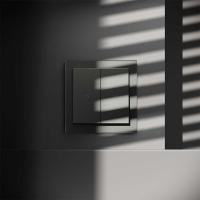 Выключатель встраиваемый S70 для жалюзи 10А, (титан) Voltum VLS020706