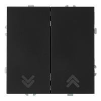 Выключатель 2-клавишный самовозвратный (механизм), Stekker, 250В, 10А Эмили, RSW10-5113-05, черный уголь, soft touch 50327