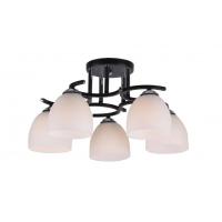 Потолочная люстра IMEX MD.0480-5-S CH