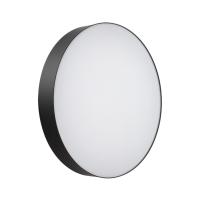 Настенно-потолочный светильник Sonex BASICA 7780/ELN