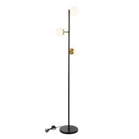 Торшер Evoluce FORLI SLE220405-03