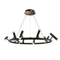 Подвесная светодиодная люстра Aployt Honor APL.067.03.50