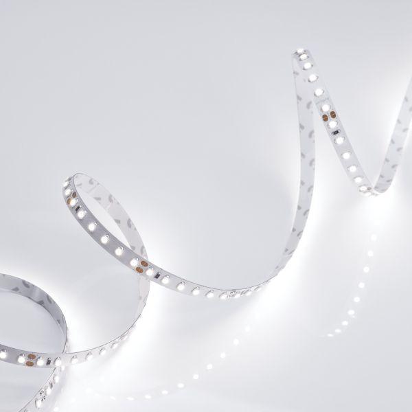 Светодиодная лента Arlight 9,6W/m 120LED/m 2835SMD холодный белый 5M 010347(2)