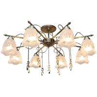 Потолочная люстра Toplight Delia TL1195X-08AB