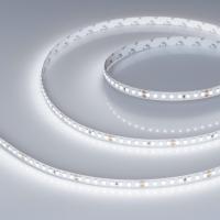 Светодиодная лента Arlight 12W/m 160LED/m 2835SMD холодный белый 5M 024534(2)