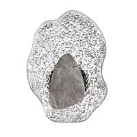 Настенный светодиодный светильник Odeon Light Coralla L-Vision 5461/12WLB