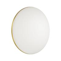 Настенно-потолочный светодиодный светильник Sonex Tan Lassa 3043/EL