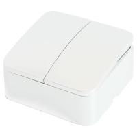 Выключатель двухклавишный Stekker белый MSW10-20-01 49289