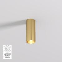 Потолочный светодиодный светильник Denkirs Shine Tube DK2615-SB