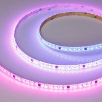 Светодиодная лента герметичная SPI-SE-A120-10mm 24V RGB-PX6-BPT (23 W/m, IP65, 2835, 5m) Arlight 049451
