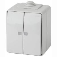 Выключатель двухклавишный с подсветкой ЭРА Эксперт 10AX 250V IP65 11-1605-03 Б0035977 Выключатель двухклавишный с подсветкой ЭРА Эксперт 10AX 250V IP65 11-1605-03 Б0035977